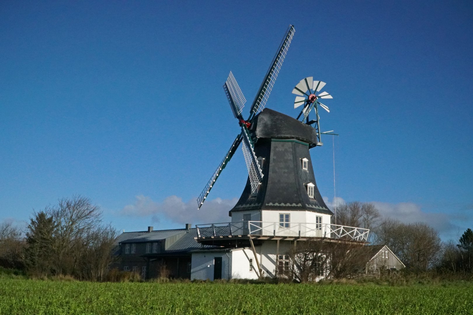 Mühle - Borgsum auf Föhr
