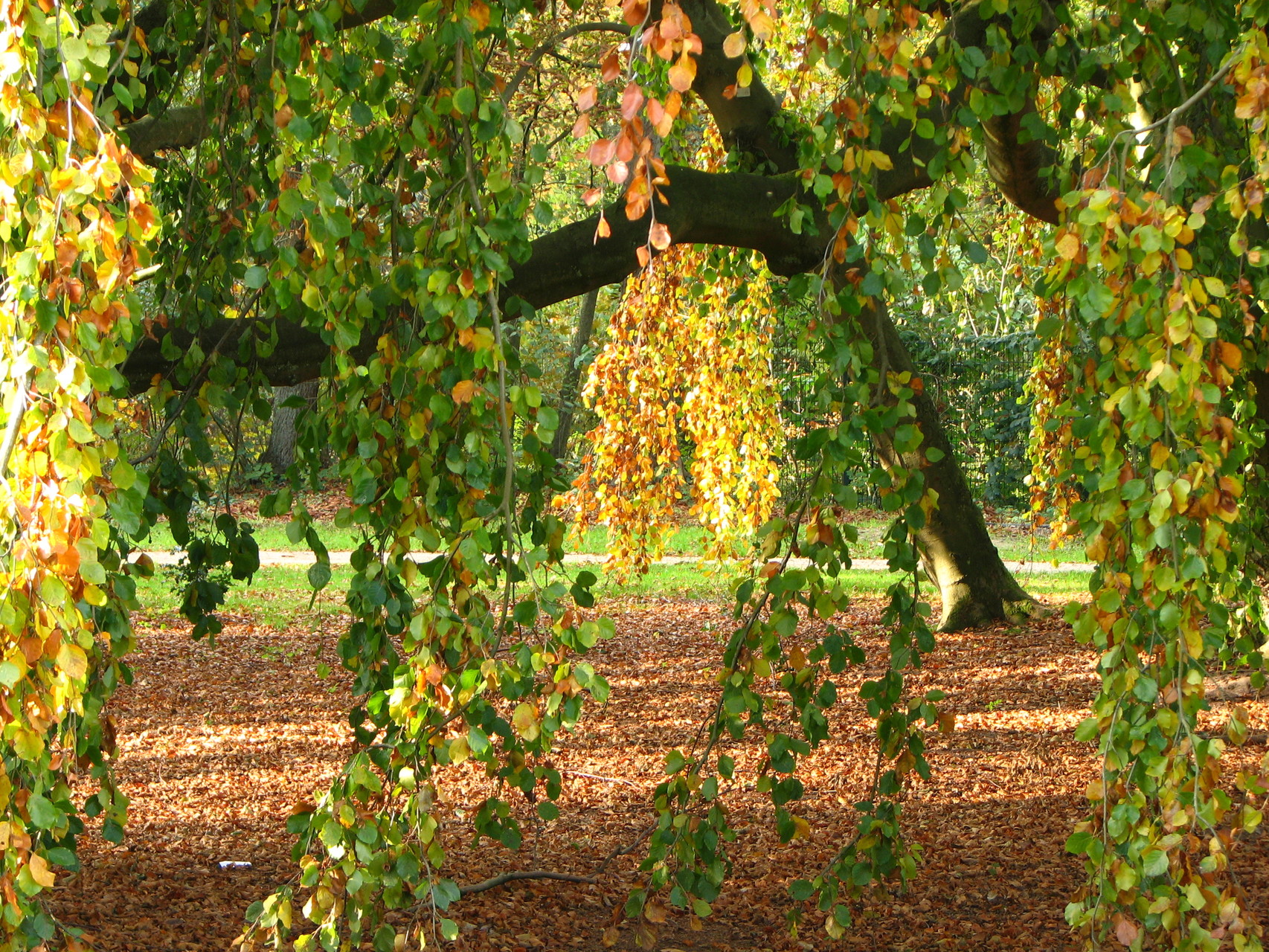 Gerisch-Park - Neumünster