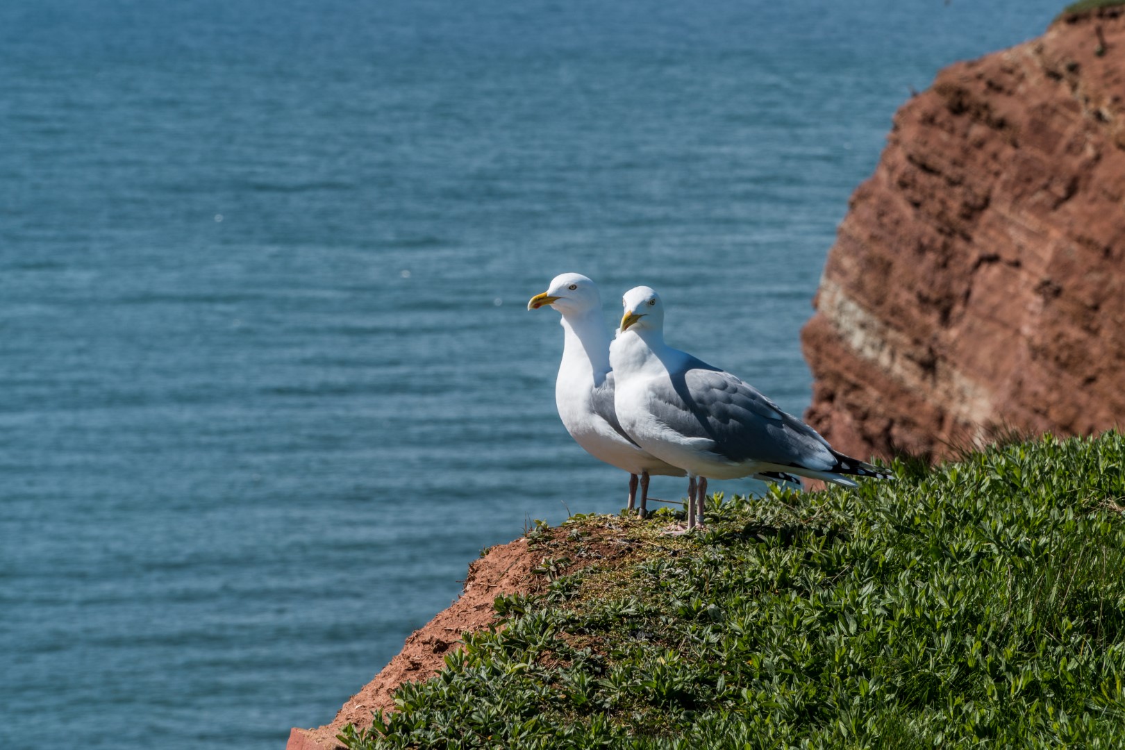 Helgoland