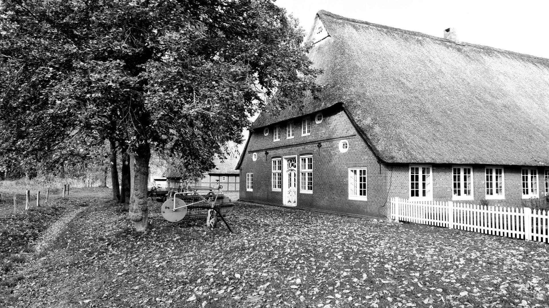 alter Bauernhof - Freilichtmuseum Molfsee s/w