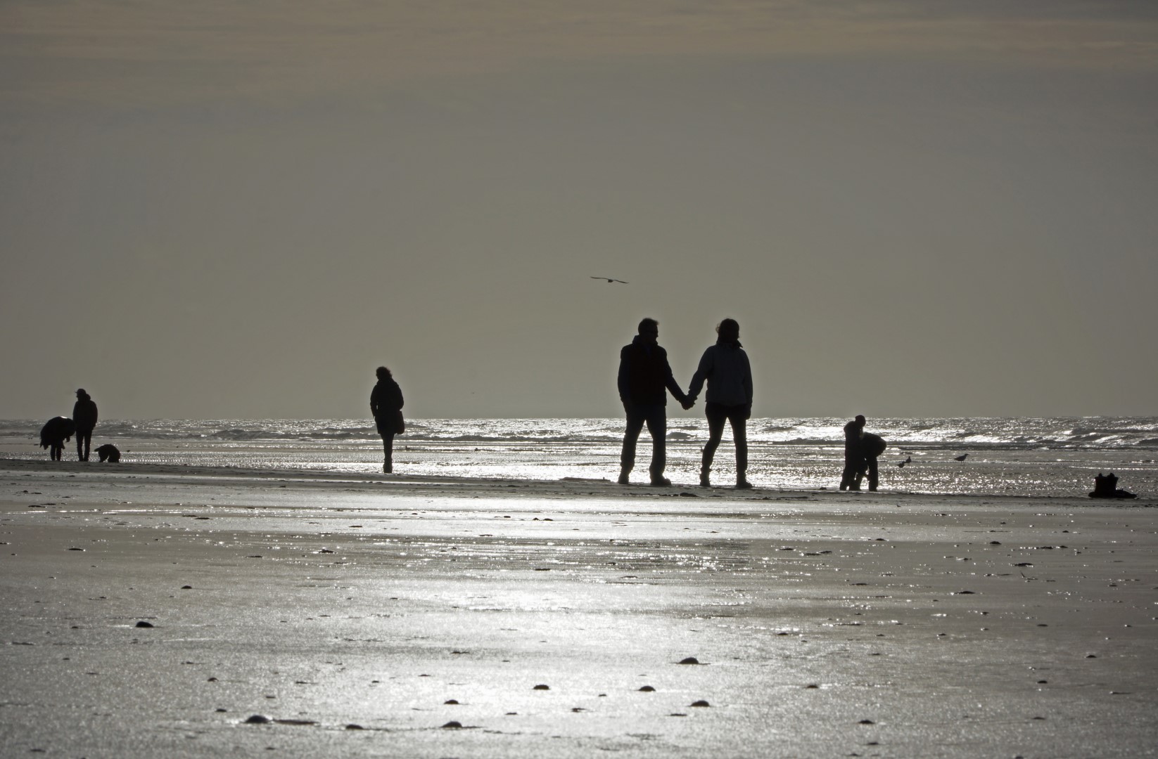 Wattenmeer - St. Peter-Ording