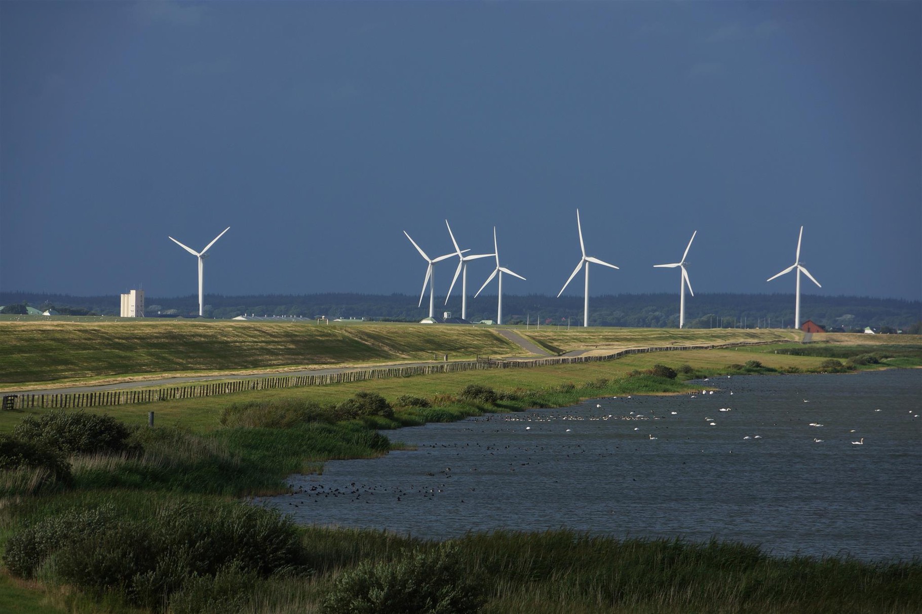 Windpark - Husum
