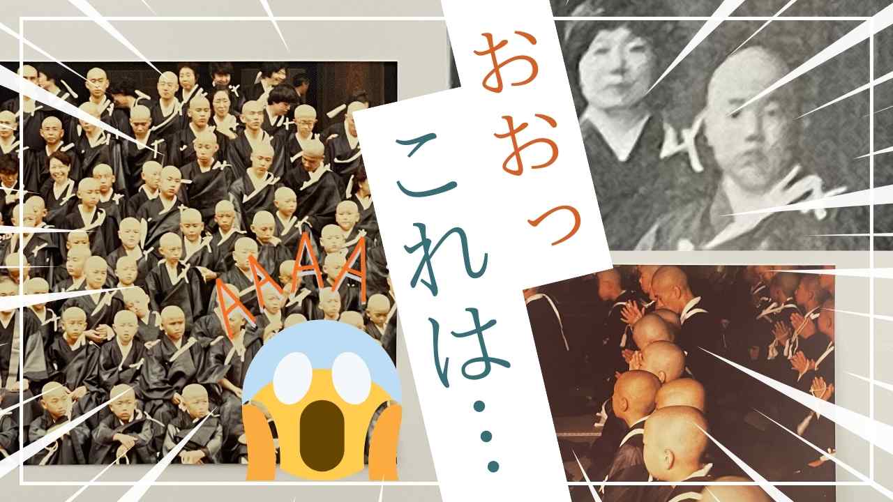 掃除をしてましたら…