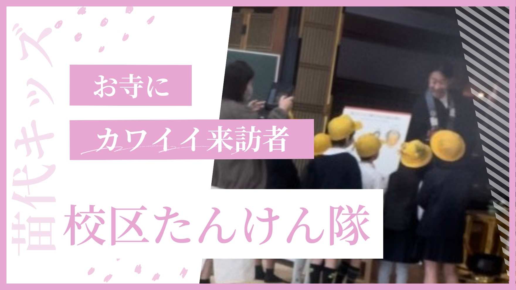 可愛いお客様が来られました♪