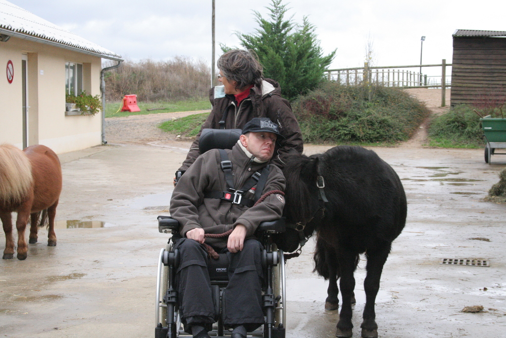 Mon poney et moi, on se regarde dans les yeux...