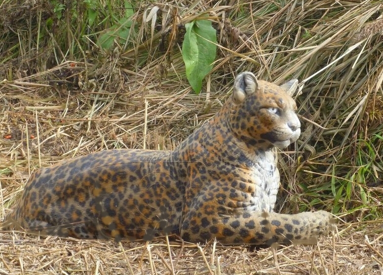 3D Ziel Leopard, Naturfoam