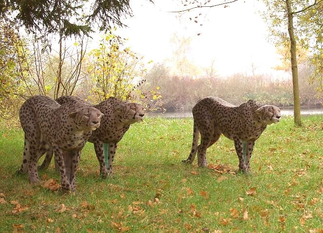 3D - Ziel Gepard von Naturfoam