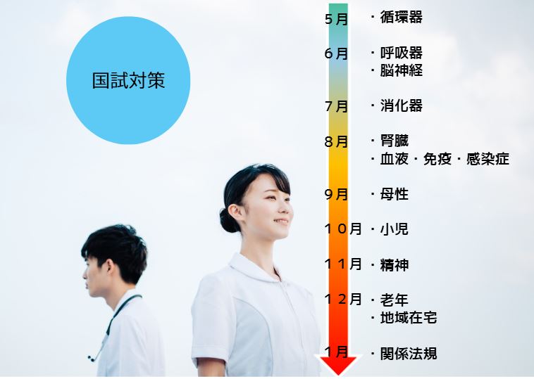 年間講義予定です。5月循環器、6月呼吸器・脳神経、7月消化器、8月腎臓・血液免疫感染症、9月母性、10月小児、11月精神、12月老年・地域在宅、1月関係法規。