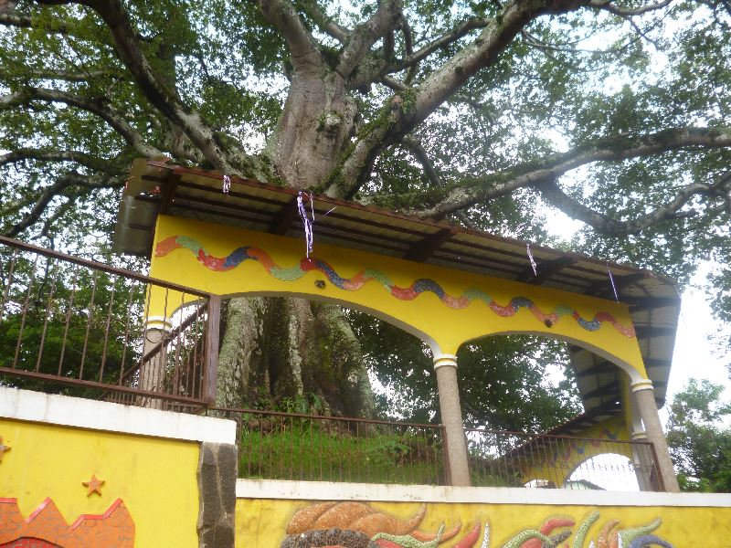 Plaza la ceiba, vista desde afuera