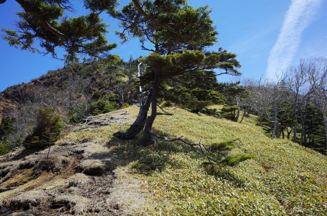 コロナに梅雨入り。この状況下で次の遠征登山はどうするべきか