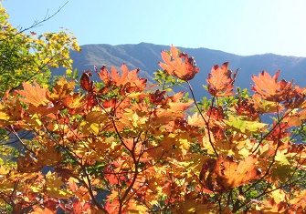 楽古岳の紅葉｜アポイとピセナイに登ったら次のステップはココ！