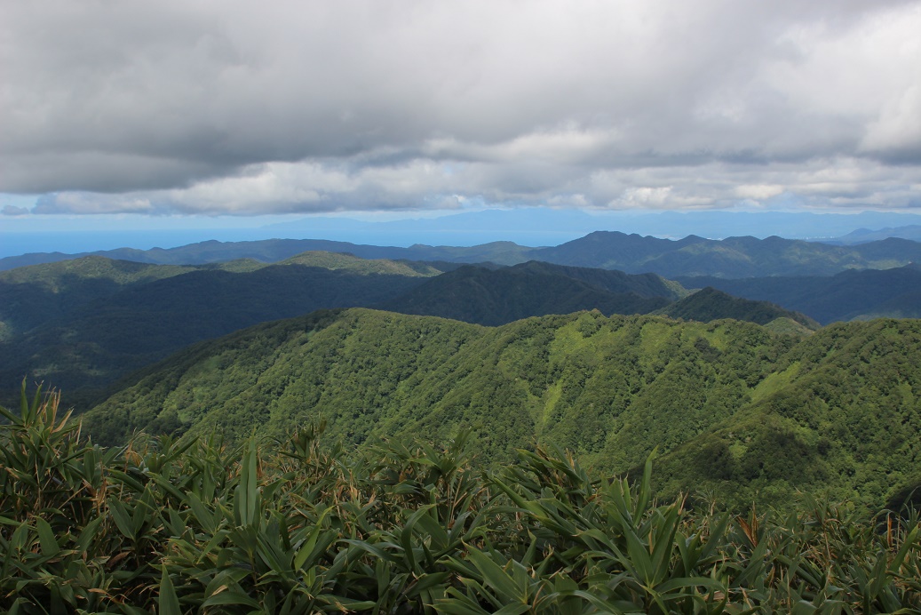 秋の大千軒岳登山|9月の知内川コースを沢に沿って遡行し、尾根を登って爽やかな頂上台地へ