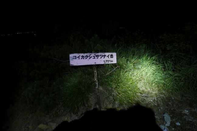 コイカクシュサツナイ岳