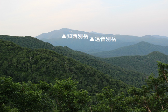 羅臼岳登山道