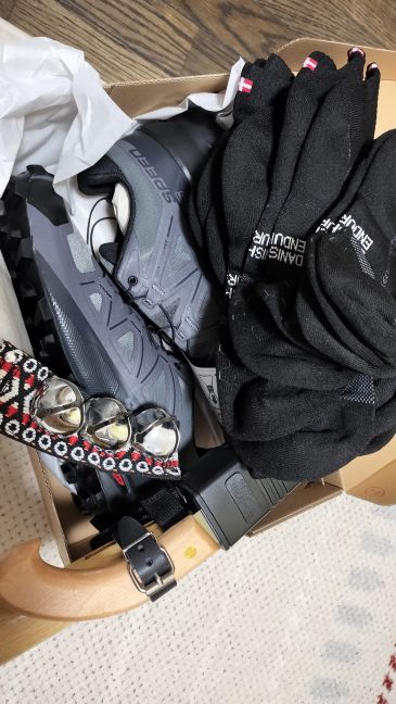 Amazonプライム感謝祭2025で購入したモノ