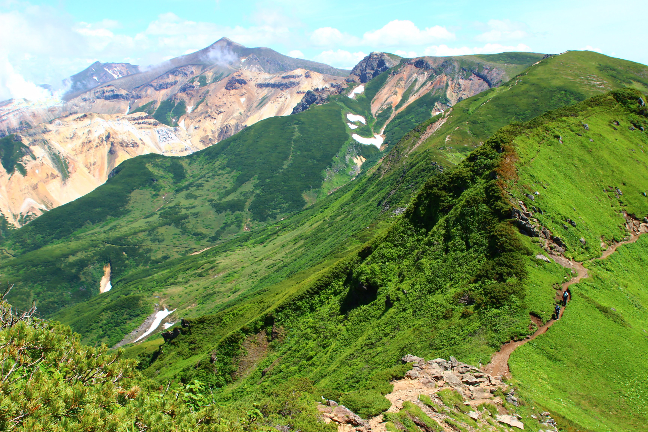 富良野岳｜初夏のお花畑を楽しむ山旅（７月中旬）