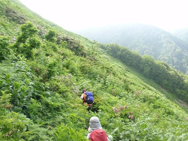 大平山