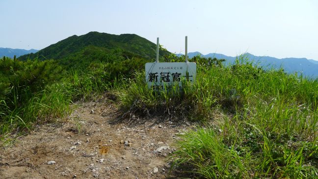新冠富士