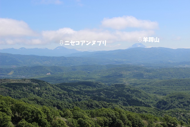 黒松内岳の登山道から見たニセコアンヌプリと羊蹄山