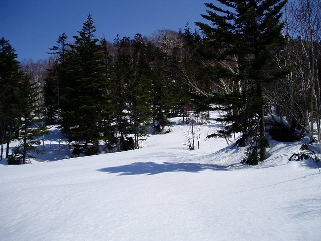 徳舜瞥山への登山道