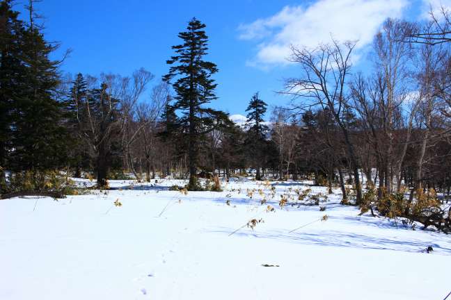 軽くて、早くて、遠くへ行くための残雪期装備について考えてみる