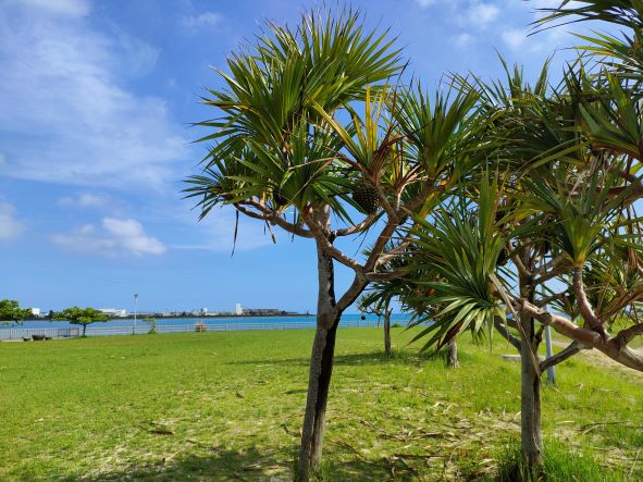 豊崎海浜公園