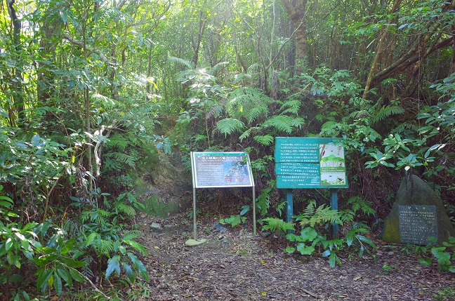 与那覇岳標高398m地点