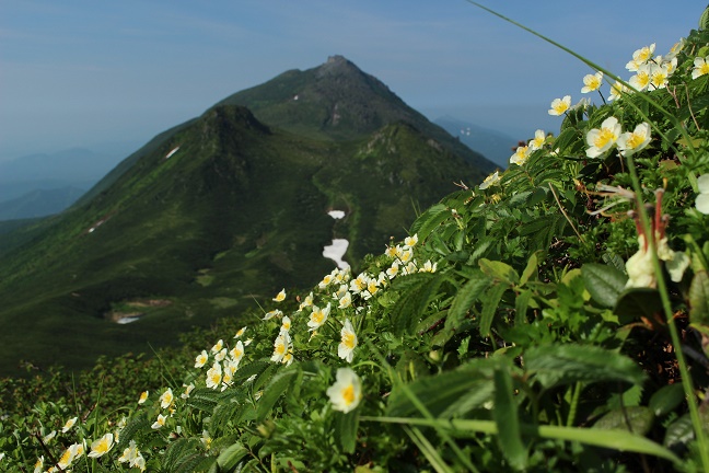 サシルイ岳から羅臼岳