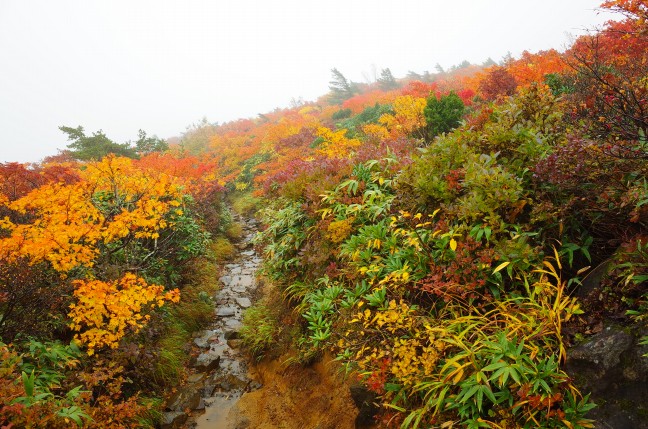 安達太良山の紅葉