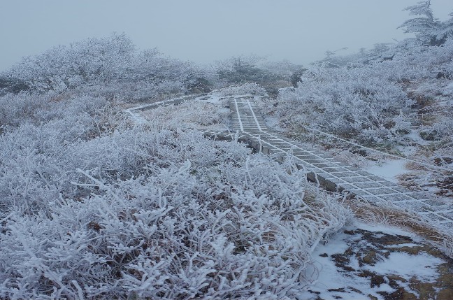 初雪の早池峰山