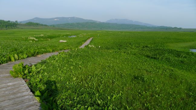 5年ぶりに雨竜沼湿原と南暑寒岳へ