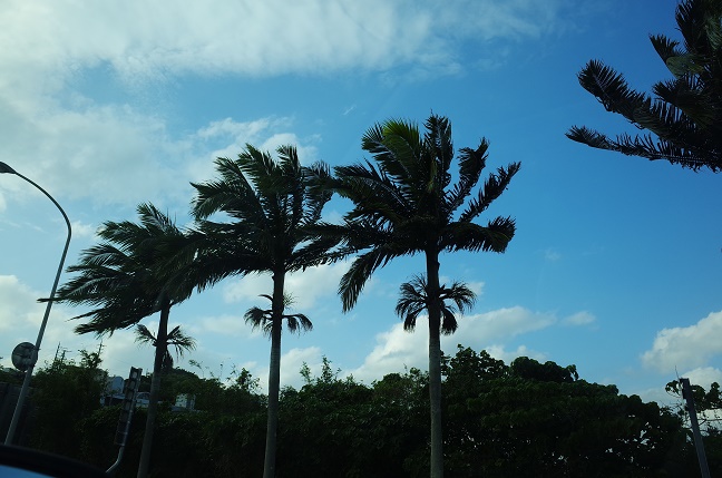 今回の沖縄旅行も雨とか曇りとか？5回連続でスッキリしないんですけど
