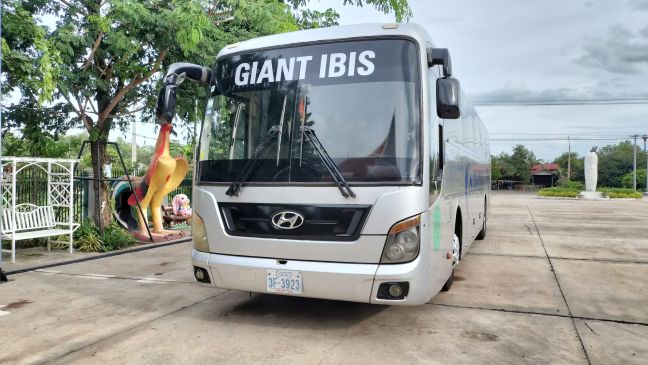 GIANT IBIS
