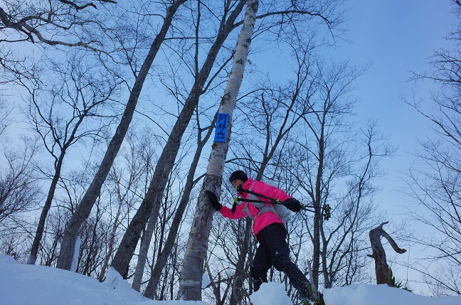 阿部山（平和の滝）｜師走の静かな雪山ハイク（12月下旬）