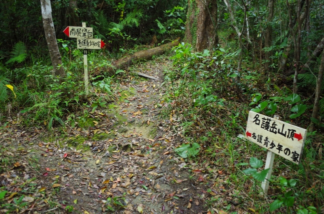 名護岳登山道