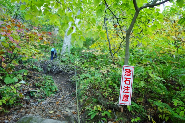 太田山神社本殿への登山道