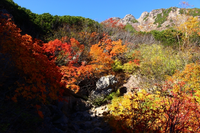 御嶽山の紅葉｜深夜の黒沢口から剣が峰でご来光、摩利支天山と継子岳も（10月上旬）