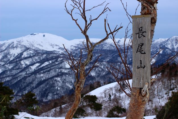 長尾山