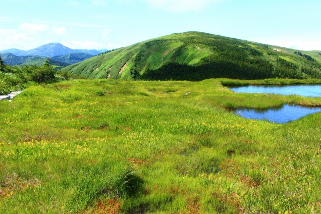 平ヶ岳登山｜夜明け前の鷹の巣登山口駐車場から日本百名山の頂へ（8月上旬）