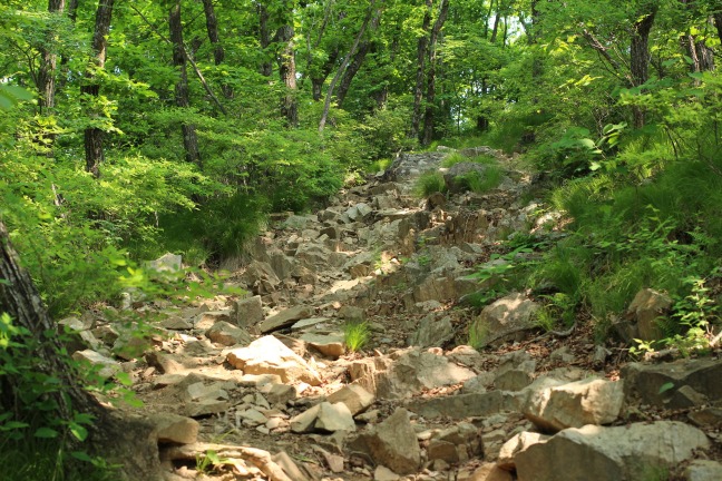 伽倻山登山道