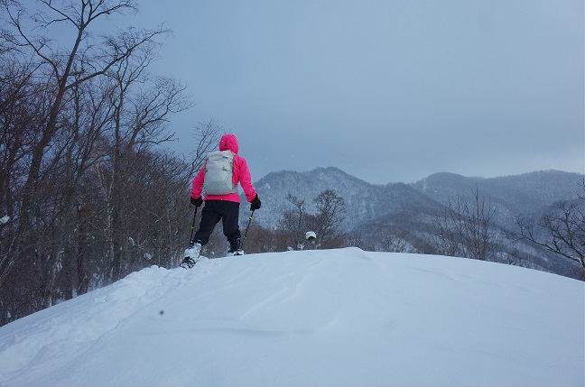 割れ山