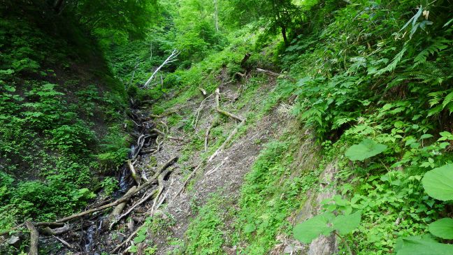 イドンナップ岳登山道