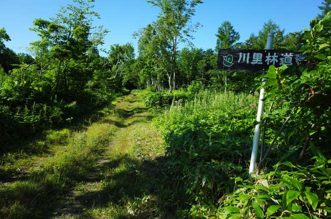 斜里岳川里林道