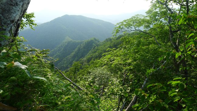 売山