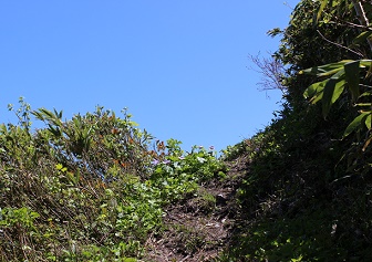 長万部岳の山歩き｜札幌から日帰りできる初心者向けの易しい山