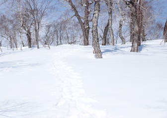 小喜茂別岳｜スノーシューでお手軽雪山ハイキング（4月上旬）