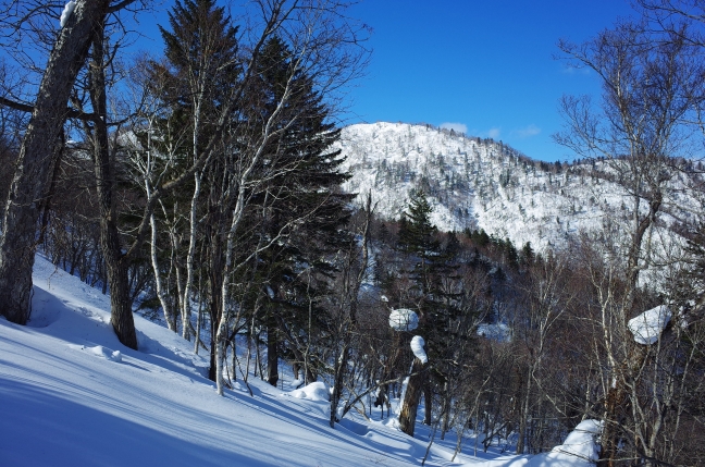 道中、北峰が良く見えています。南峰はなかなか見えません