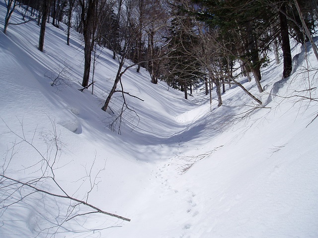 百松沢山