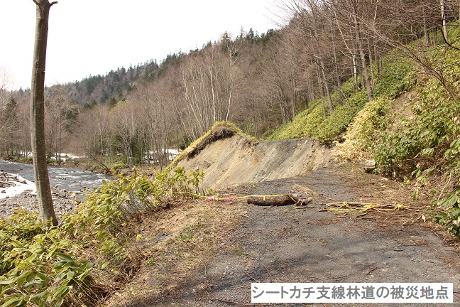 シートカチ支線林道被災地点