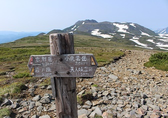 トムラウシ山の登山（天人峡コース）｜健脚者に限る日帰り登山（6月下旬）
